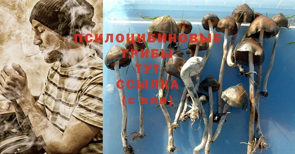 трава Алексеевка