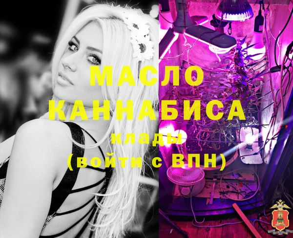 стафф Алексин