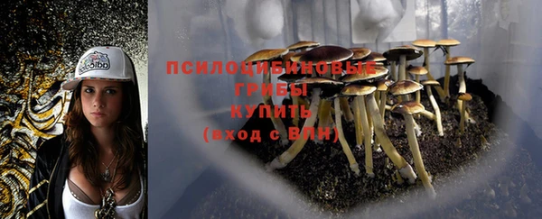 трава Алексеевка