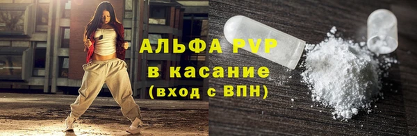 стафф Алексин