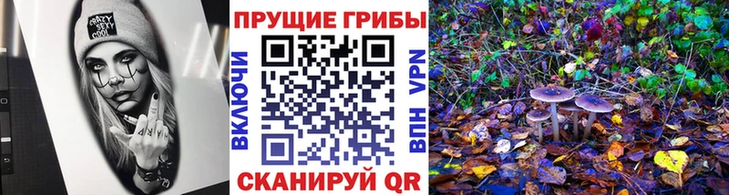 Галлюциногенные грибы мухоморы  mega ссылки  Бикин 